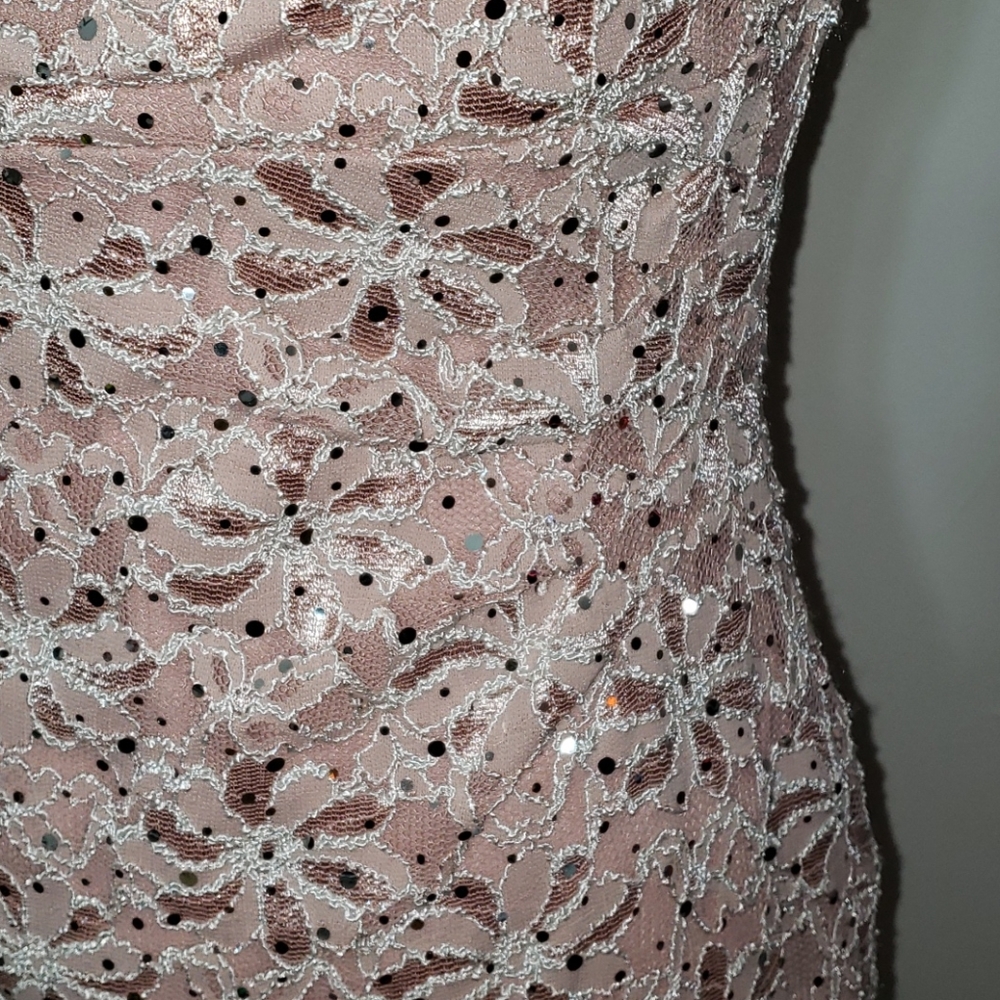 Dusty nude lace cocktail dress - Picture 4 of 8